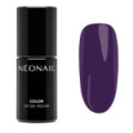 Vernis Semi-Permanent 7,2 ml - No risk, No story